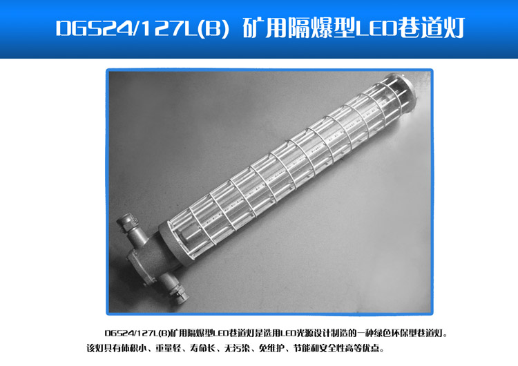 (LED)DGS24W(480)